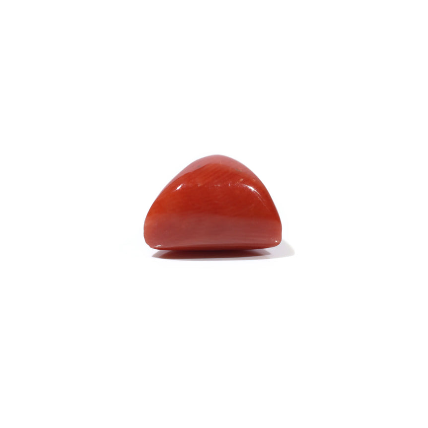 Red Coral - 4.68 Carat