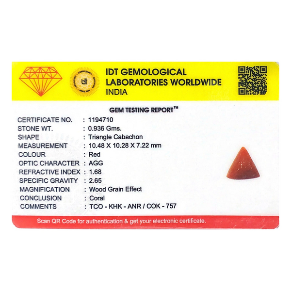 Red Coral - 4.68 Carat