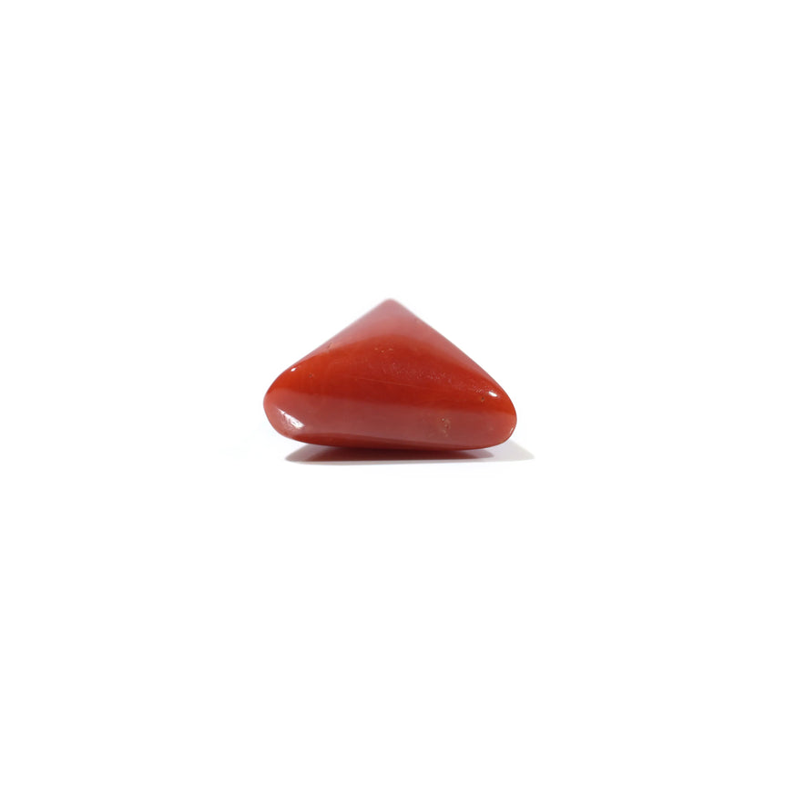 Red Coral - 4.57 Carat