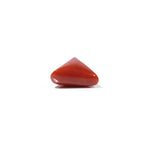 Red Coral - 4.57 Carat