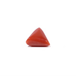 Red Coral - 4.53 Carat