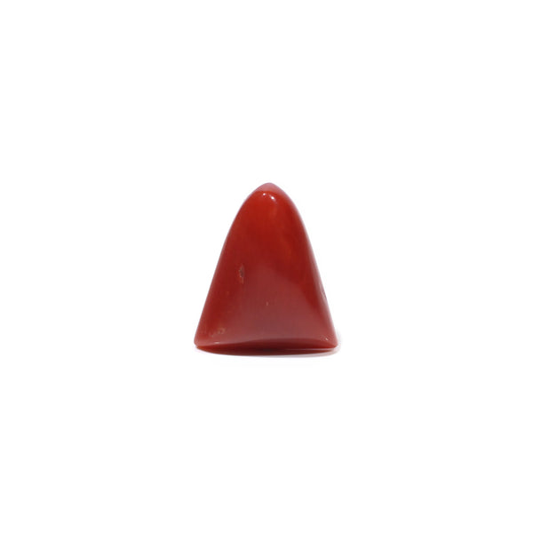 Red Coral - 4.67 Carat - Pramogh