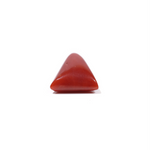 Red Coral - 4.67 Carat
