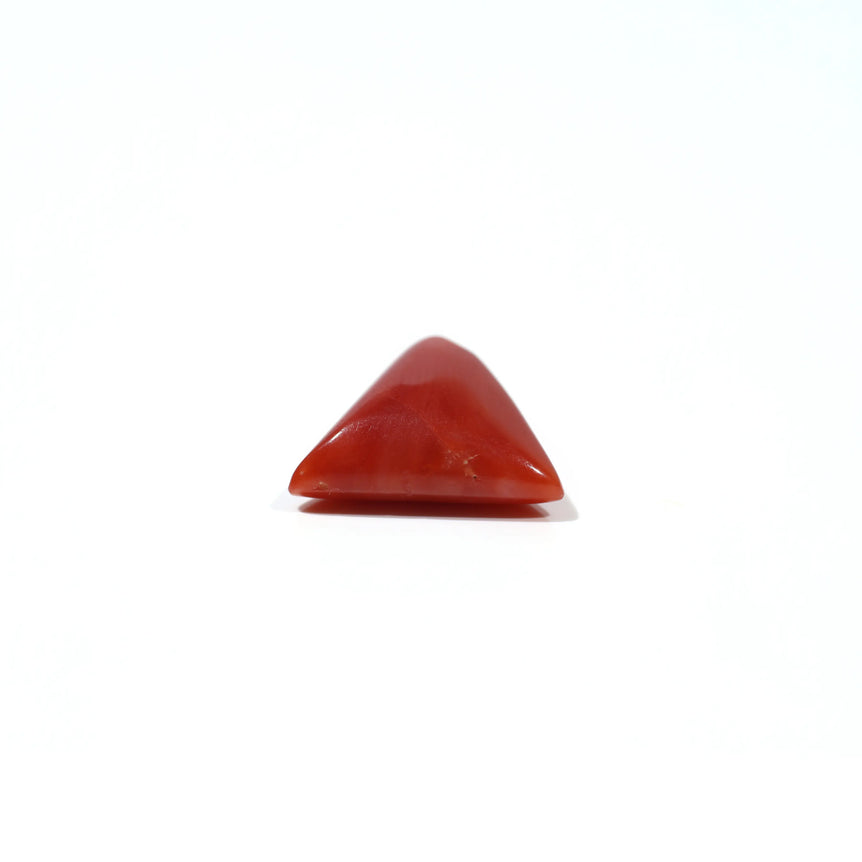 Red Coral - 4.65 Carat