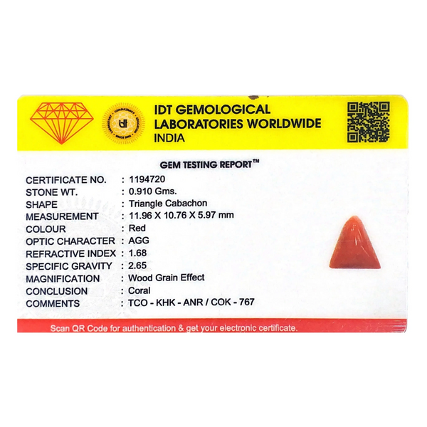 Red Coral - 4.55 Carat