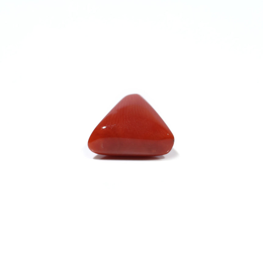 Red Coral - 4.8 Carat