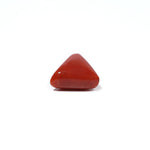 Red Coral - 4.8 Carat