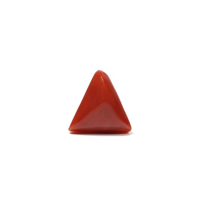 Red Coral - 4.65 Carat - Pramogh