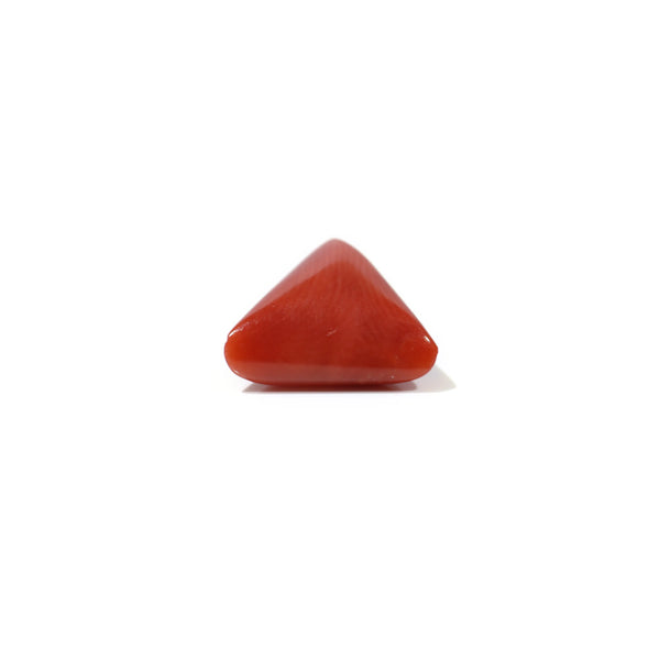 Red Coral - 4.65 Carat