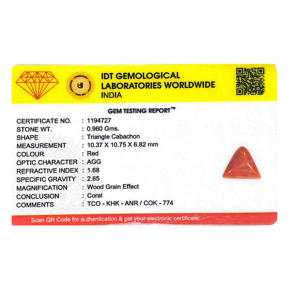 Red Coral - 4.8 Carat