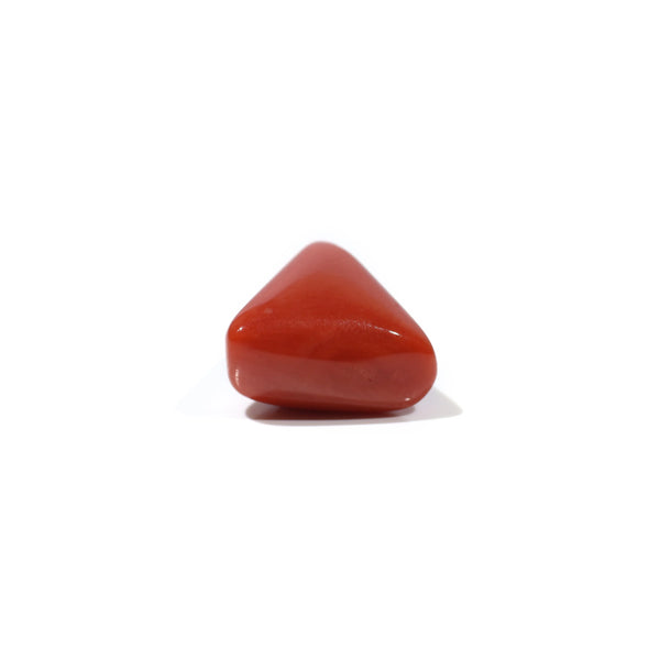 Red Coral - 4.7 Carat