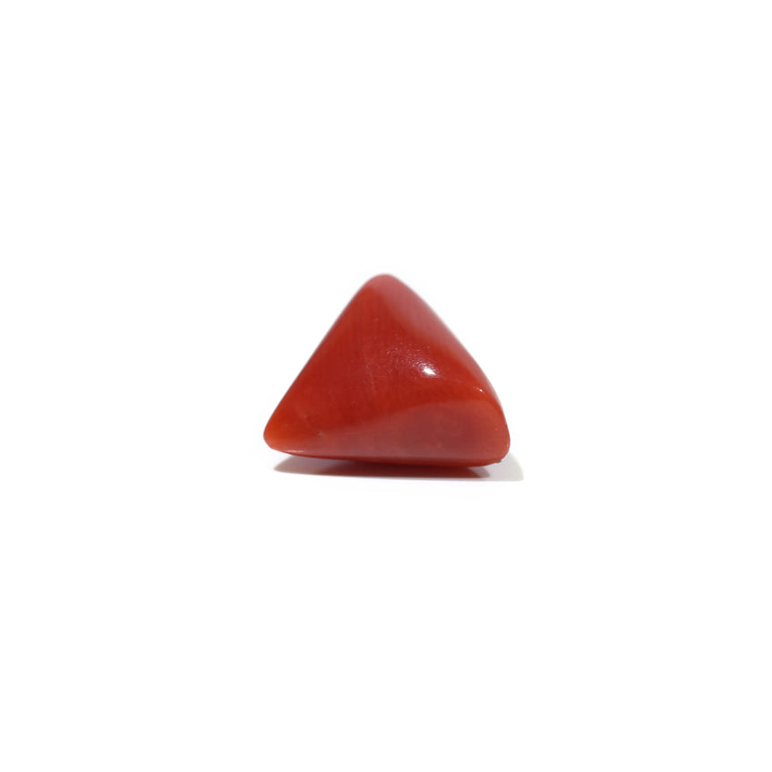 Red Coral - 4.63 Carat