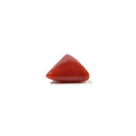Red Coral - 4.48 Carat