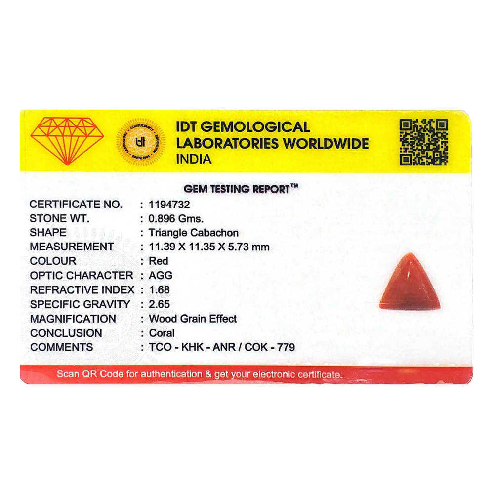 Red Coral - 4.48 Carat