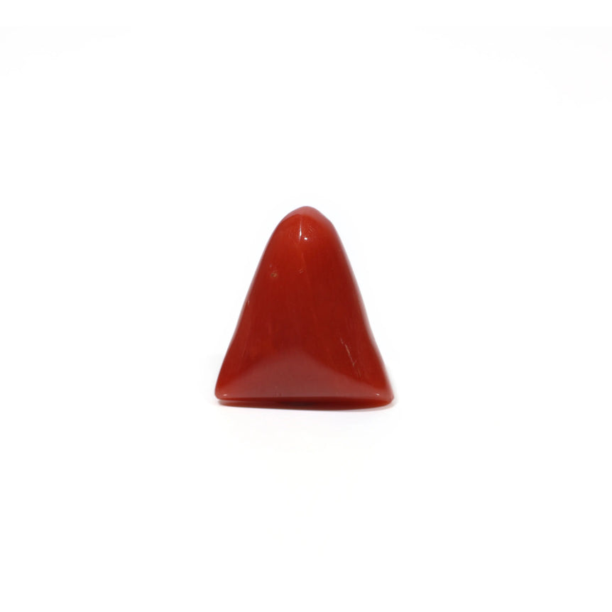 Red Coral - 4.55 Carat - Pramogh