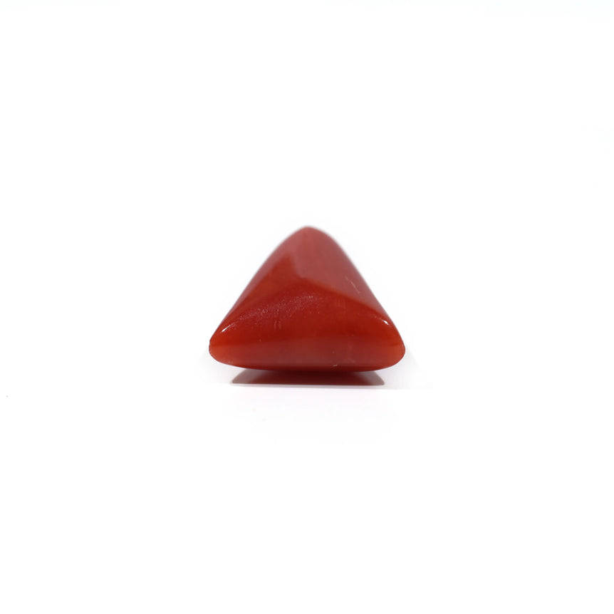 Red Coral - 4.55 Carat