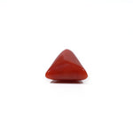 Red Coral - 4.55 Carat