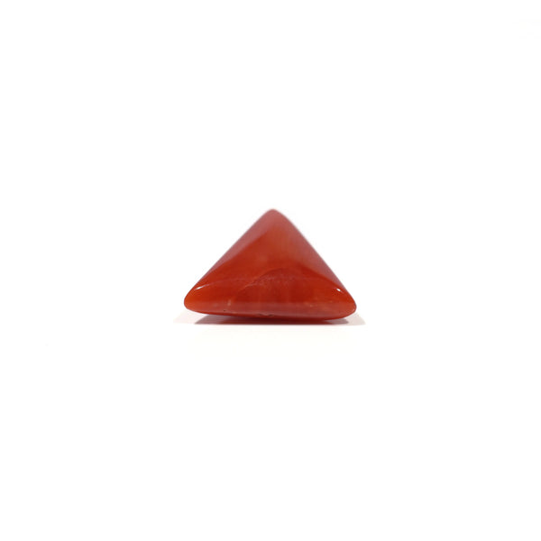 Red Coral - 4.8 Carat