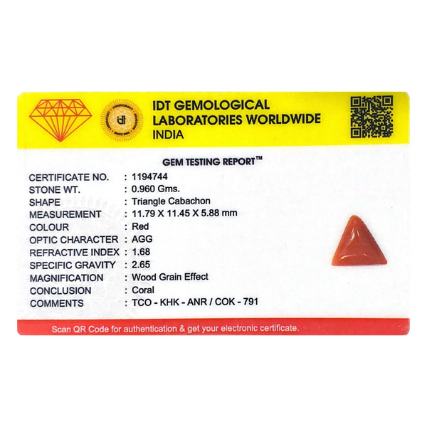 Red Coral - 4.8 Carat