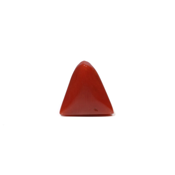 Red Coral - 4.55 Carat