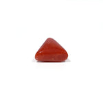 Red Coral - 4.55 Carat