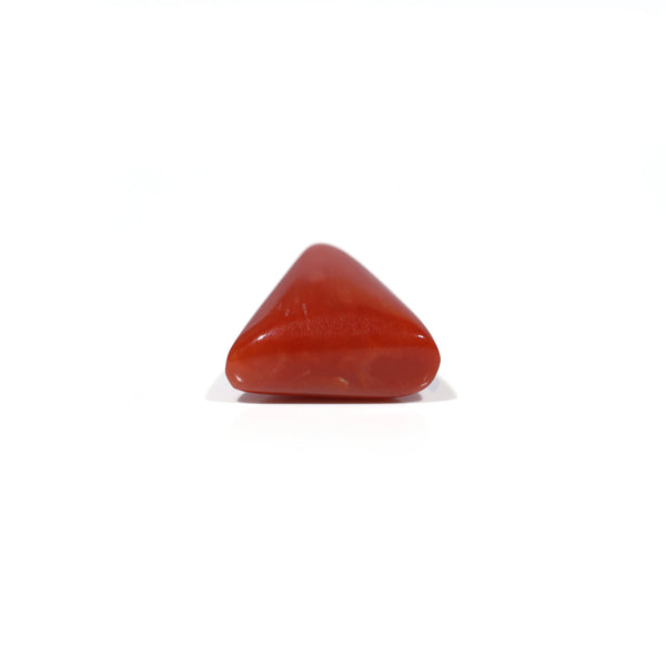 Red Coral - 4.55 Carat