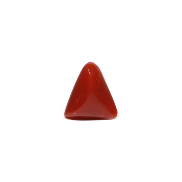 Red Coral - 4.72 Carat - Pramogh