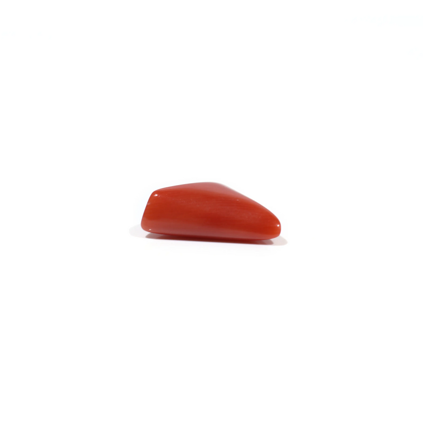 Red Coral - 4.65 Carat