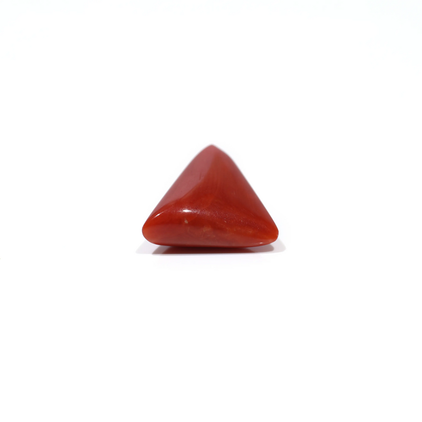 Red Coral - 4.8 Carat