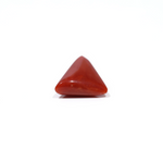 Red Coral - 4.8 Carat