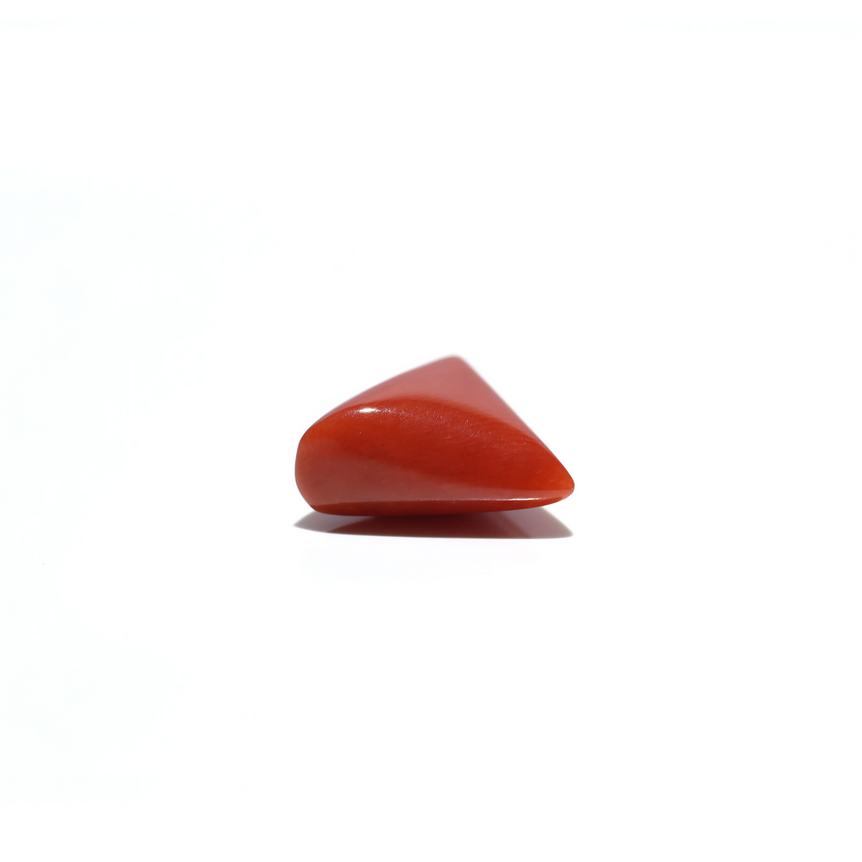 Red Coral - 4.85 Carat
