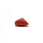 Red Coral - 4.85 Carat