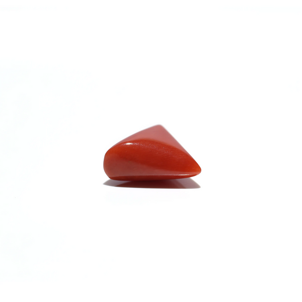 Red Coral - 4.85 Carat