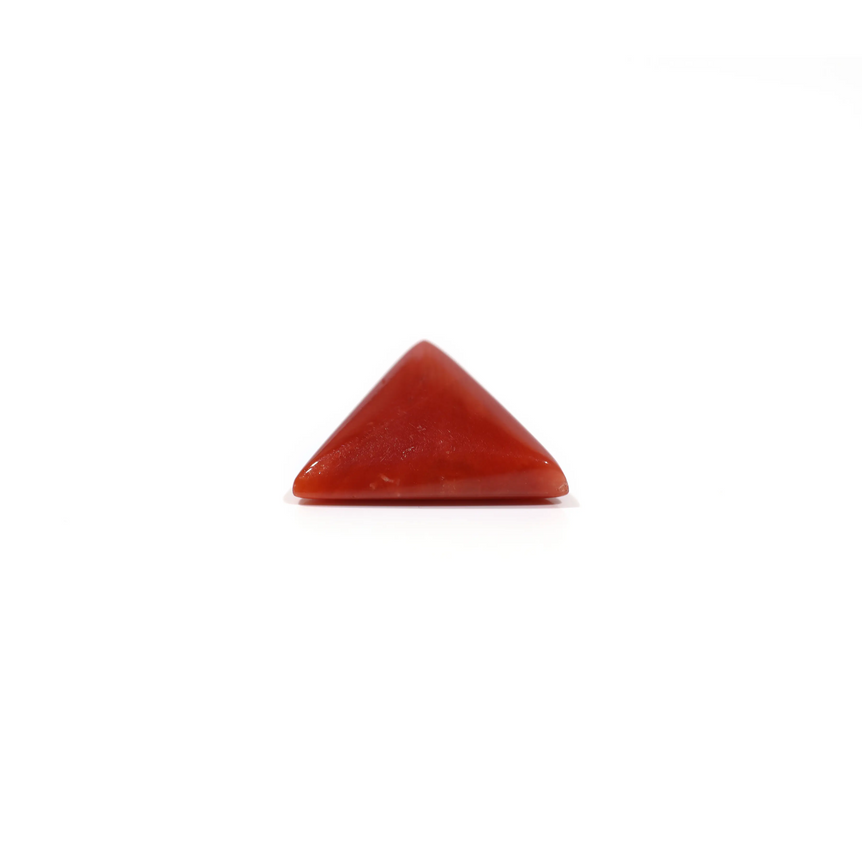 Red Coral - 4.8 Carat