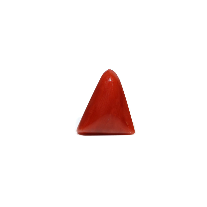 Red Coral - 4.8 Carat - Pramogh