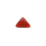 Red Coral - 4.82 Carat