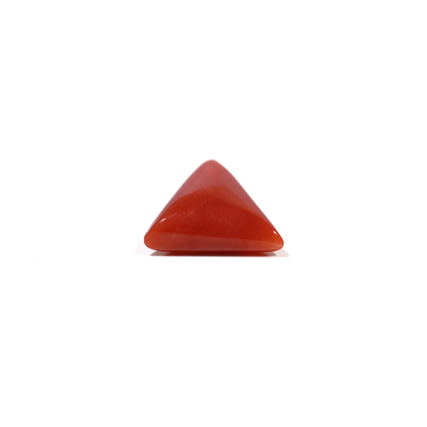 Red Coral - 4.82 Carat