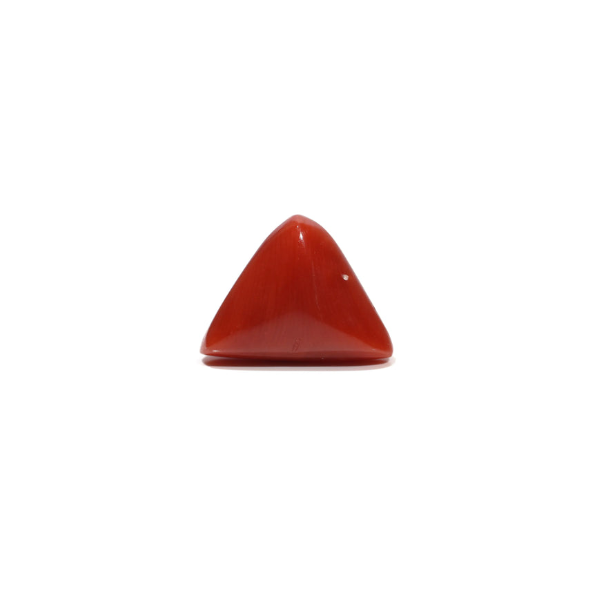 Red Coral - 4.85 Carat - Pramogh