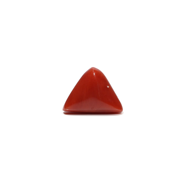 Red Coral - 4.85 Carat - Pramogh