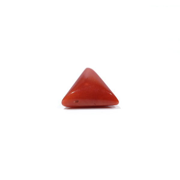 Red Coral - 4.87 Carat