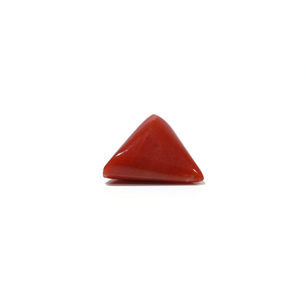 Red Coral - 4.8 Carat