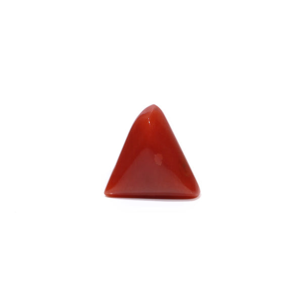 Red Coral - 4.8 Carat - Pramogh