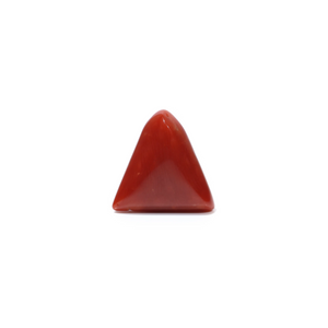Red Coral - 4.95 Carat - Pramogh