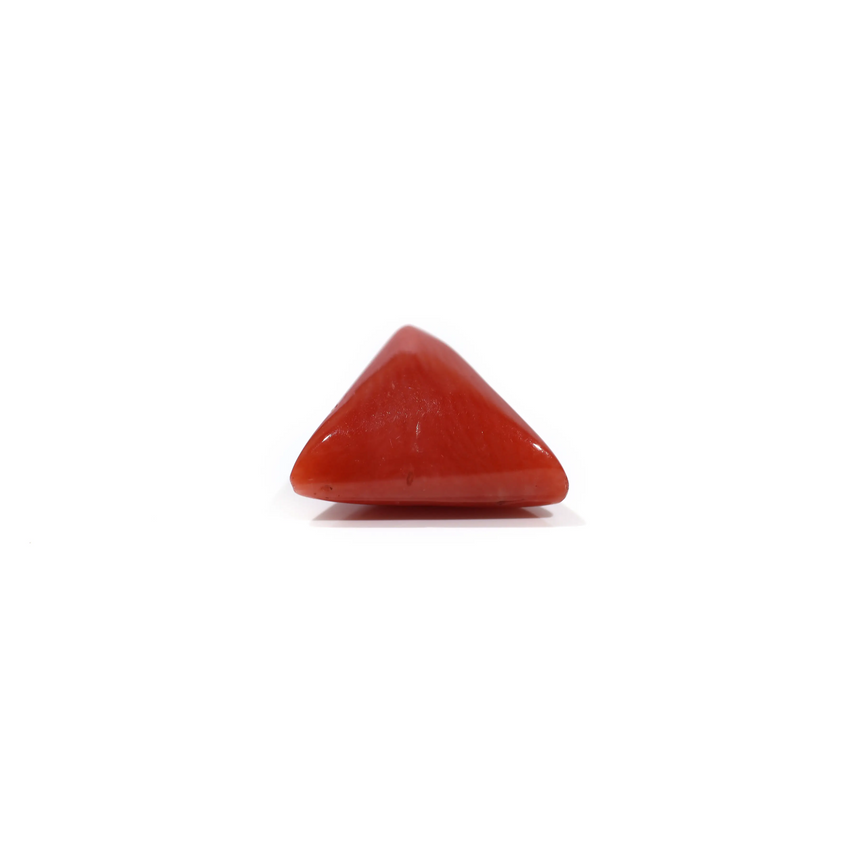 Red Coral - 4.85 Carat
