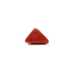 Red Coral - 4.85 Carat