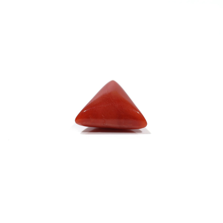 Red Coral - 4.83 Carat