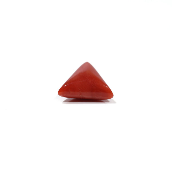 Red Coral - 4.83 Carat