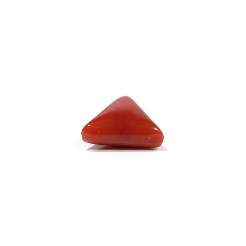 Red Coral - 4.8 Carat