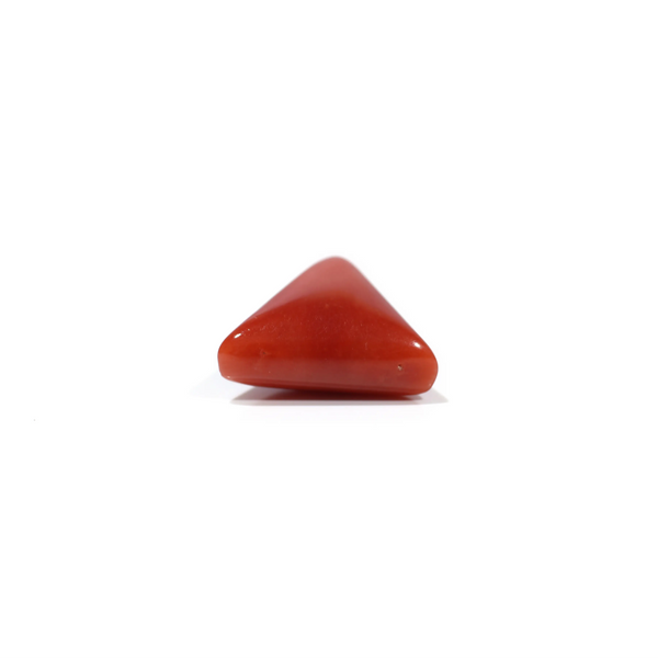 Red Coral - 4.8 Carat