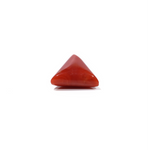 Red Coral - 4.8 Carat